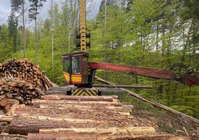 wood