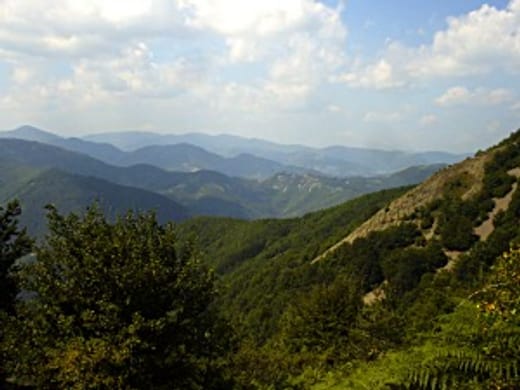 кръстова гора