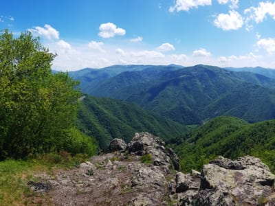 Cross peak