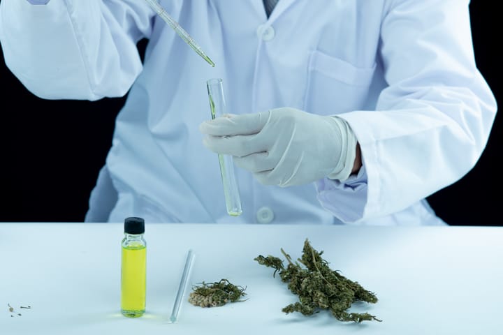lab