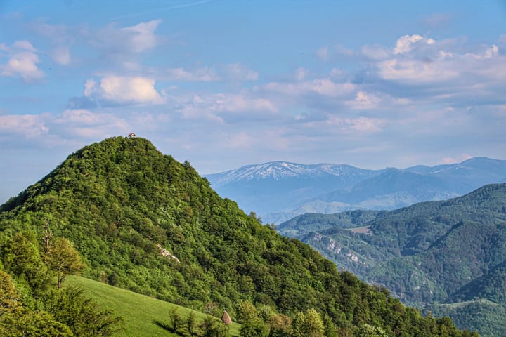 острич